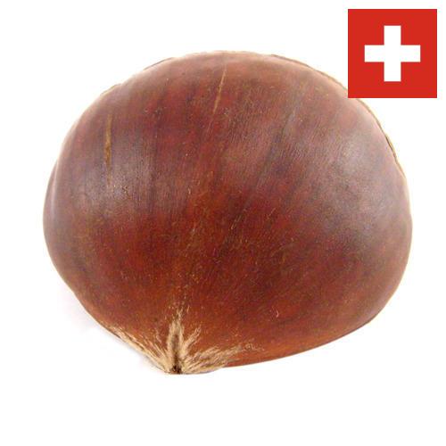 Каштан из Швейцарии