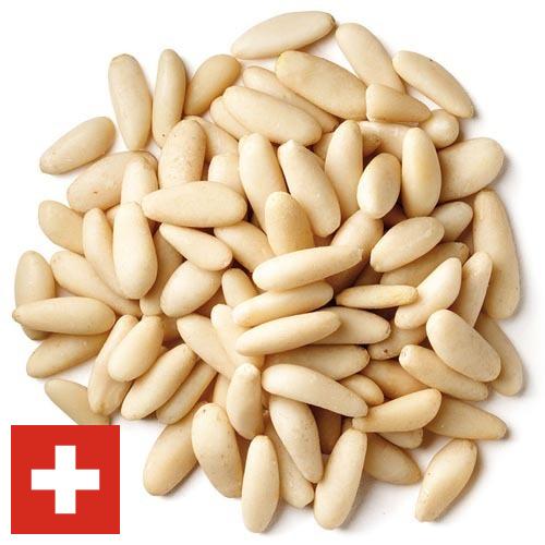 Кедровые орехи из Швейцарии