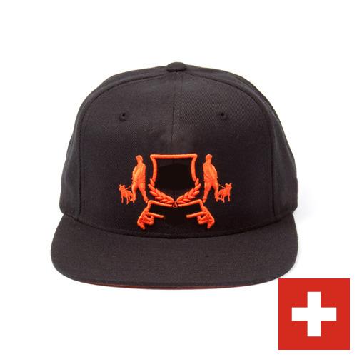 Козырьки из Швейцарии