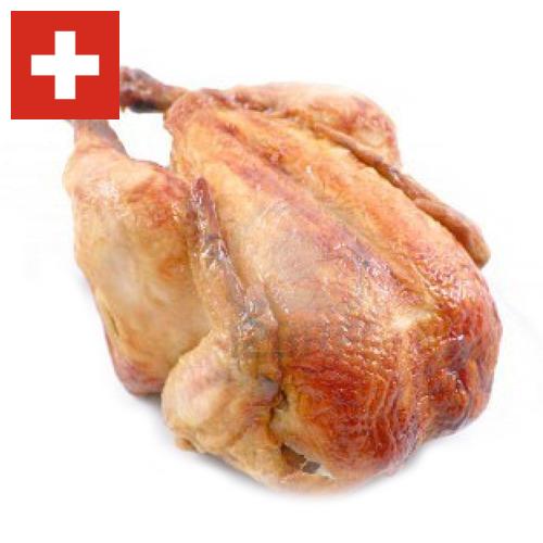 Кура из Швейцарии