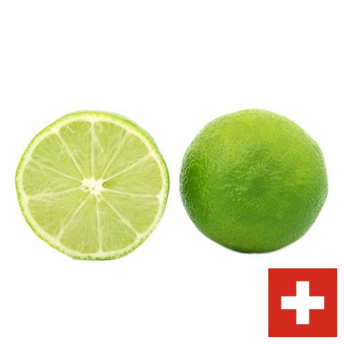 лайм из Швейцарии