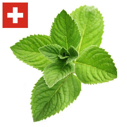 Ментол из Швейцарии