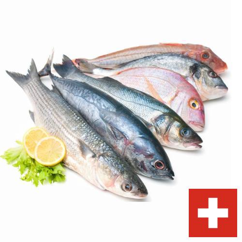 Морепродукты из Швейцарии