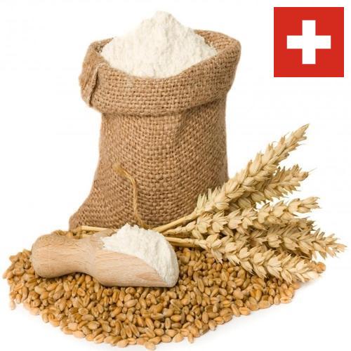мука пшеничная первый сорт из Швейцарии