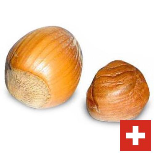 орех фундук из Швейцарии