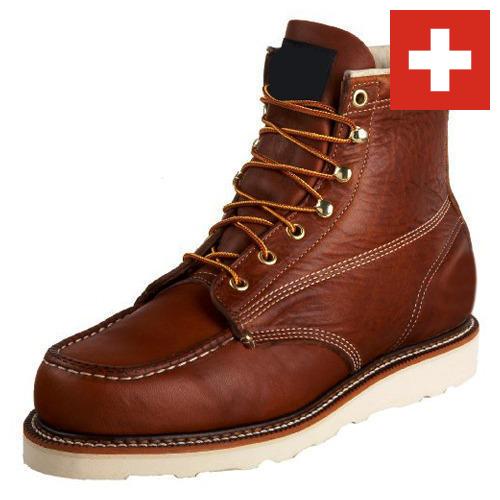 Сапоги мужские из Швейцарии