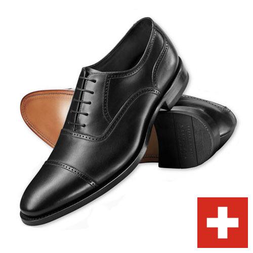 Шумовки из Швейцарии