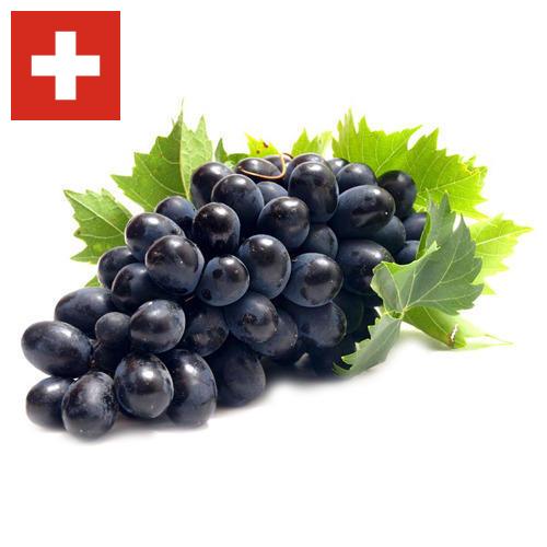 Виноград из Швейцарии