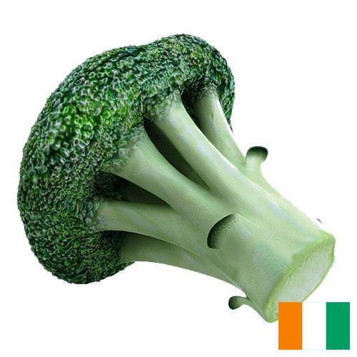 брокколи из Кота Д'ивуар