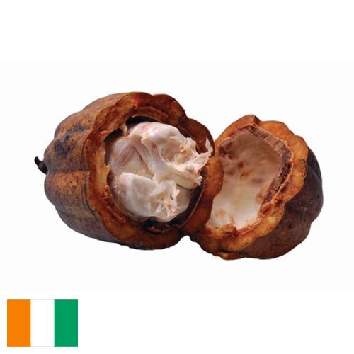 Какао масло из Кота Д'ивуар