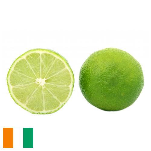 лайм из Кота Д'ивуар