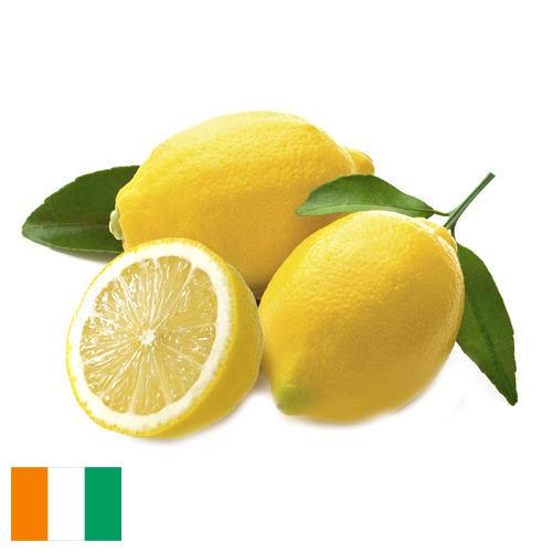 лимон свежий из Кота Д'ивуар