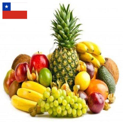 фрукты свежие из Чили