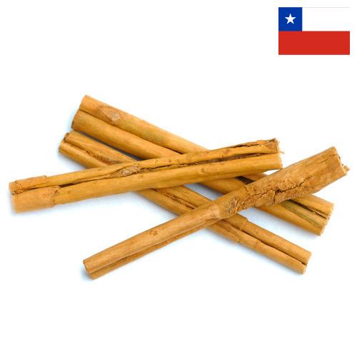 Корица из Чили