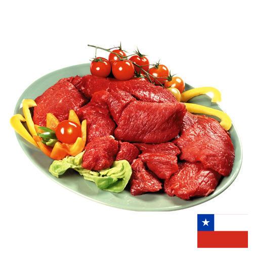 Мясные полуфабрикаты из Чили