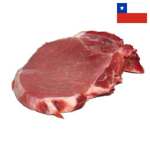 мясо свинина из Чили