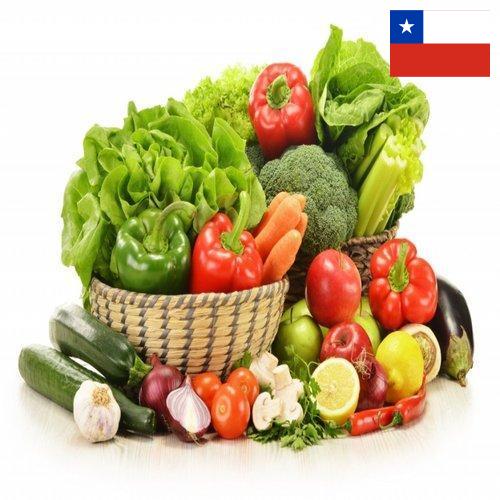 Овощи свежие из Чили