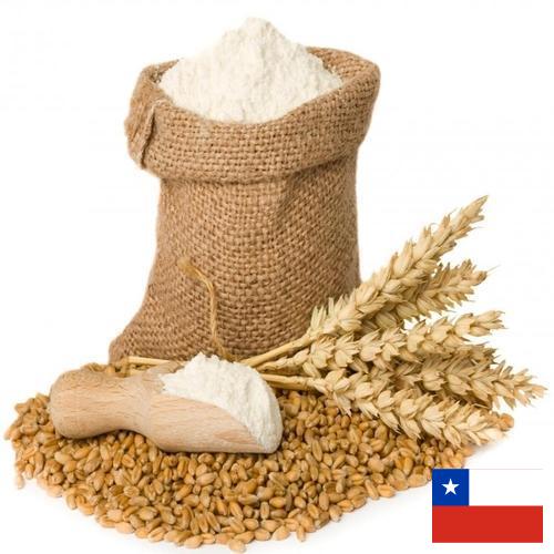Пшеничная мука из Чили