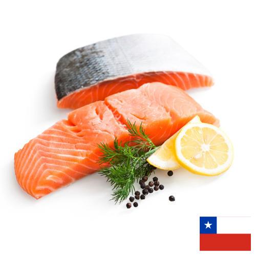 рыбное филе из Чили