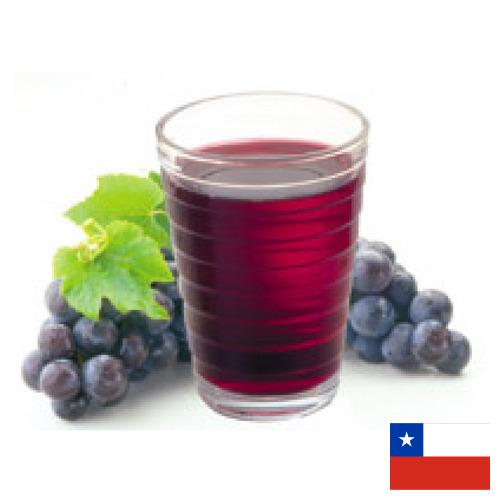 Сок виноградный из Чили