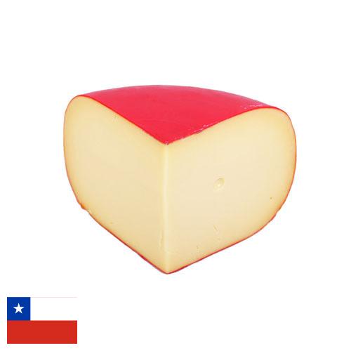 сыр гауда из Чили