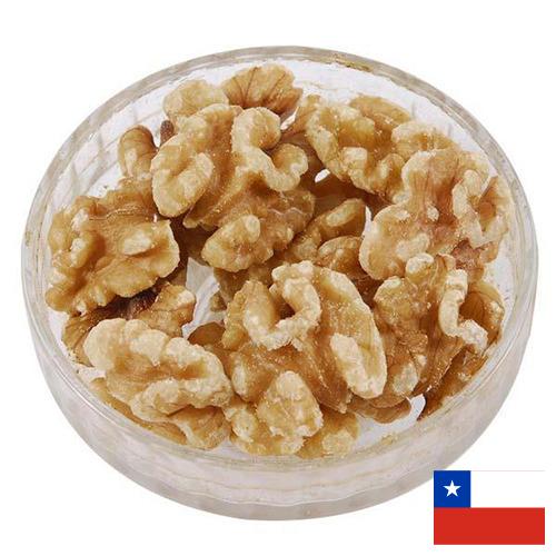 Ядра орехов из Чили
