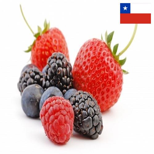 Ягоды из Чили