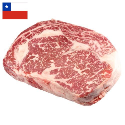 замороженного мясо из Чили