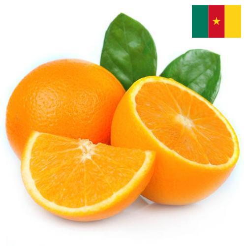 апельсины свежие из Камеруна