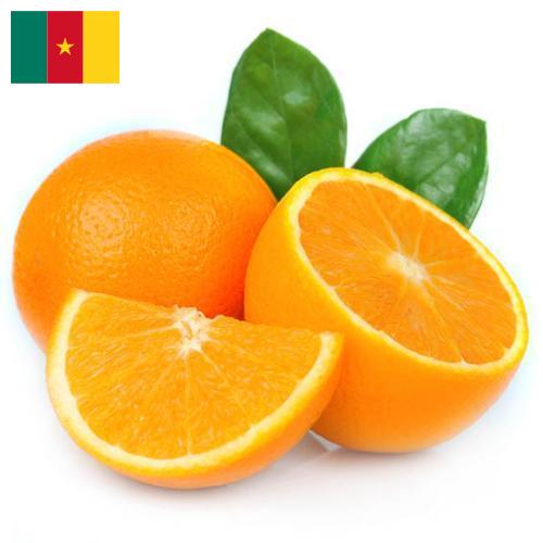 Апельсины из Камеруна