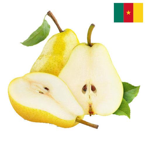 Груши из Камеруна
