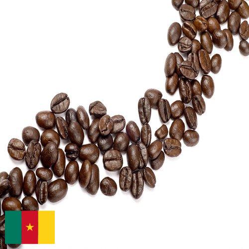 Кофе в зернах из Камеруна