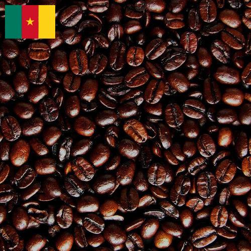 кофе жареный из Камеруна