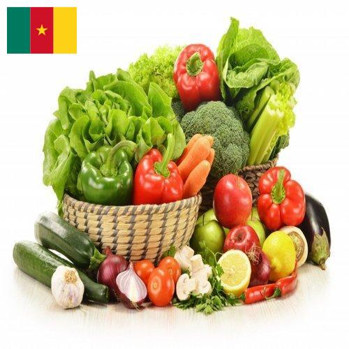 Овощи свежие из Камеруна