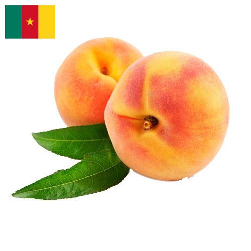 Персики из Камеруна