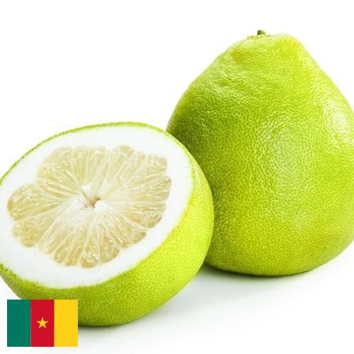 Помело из Камеруна