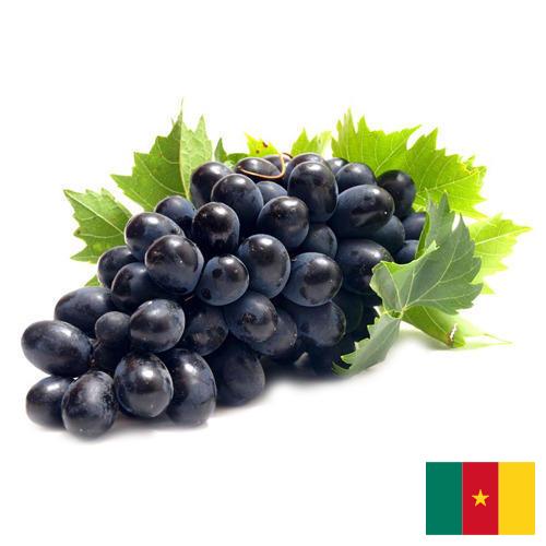 Виноград из Камеруна