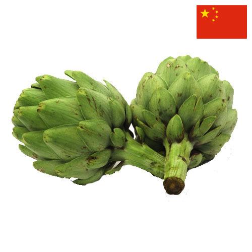 артишок из Китая