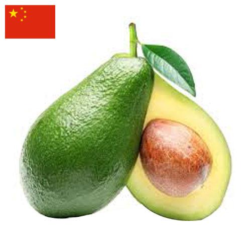 Авокадо из Китая