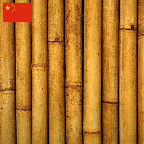 Бамбук из Китая