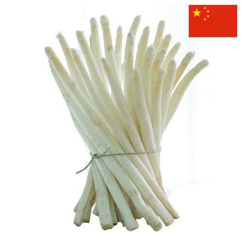 белая спаржа из Китая