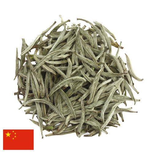 Белый чай из Китая