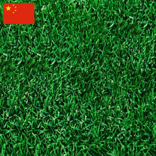 Газонная трава из Китая