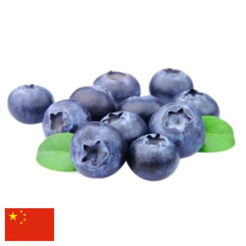 Голубика из Китая