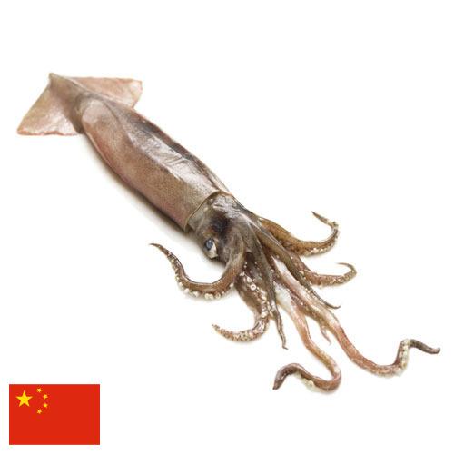 Кальмары из Китая