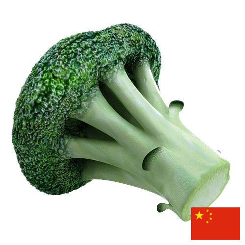 Капуста брокколи из Китая