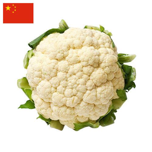 Капуста цветная из Китая
