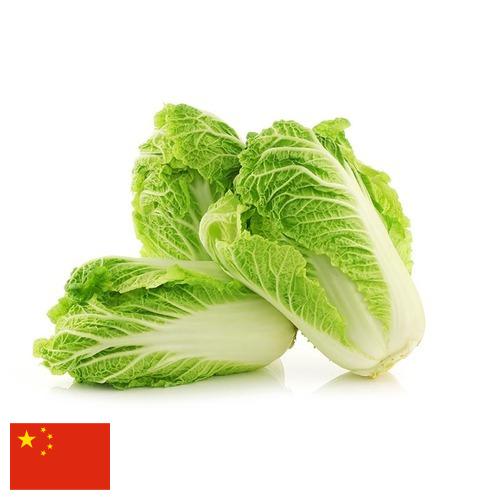 Капуста китайская из Китая