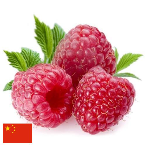 Малина из Китая