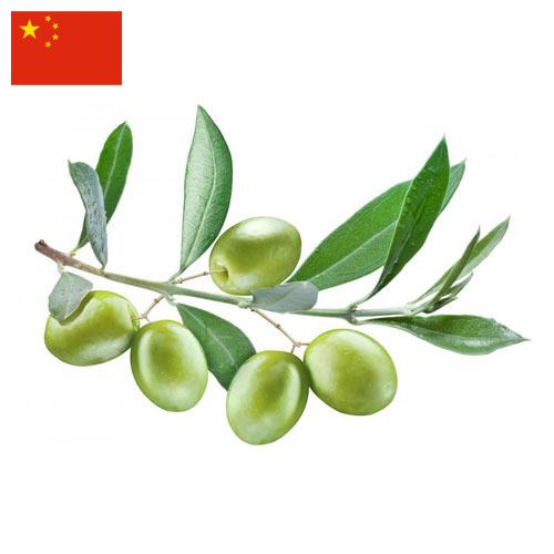 маслины оливки из Китая